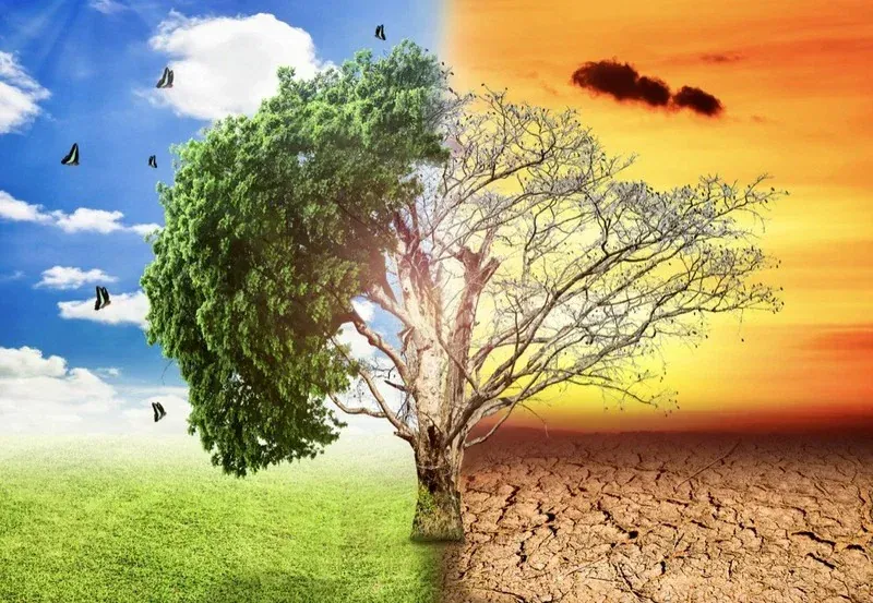 100+ ảnh bảo vệ môi trường truyền cảm hứng sống xanh tuyệt đẹp · ảnh 2