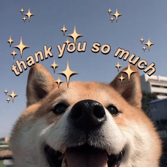 99+ meme thank you độc lạ thay lời cảm ơn cực hài hước