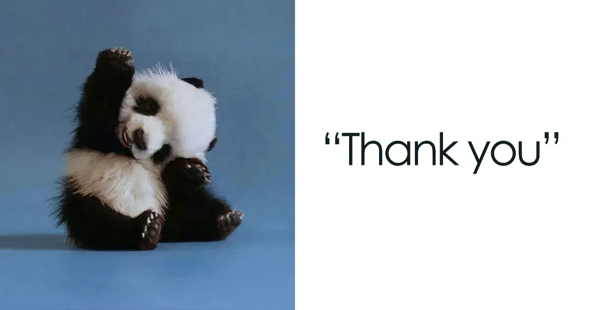 99+ meme thank you hài hước nhất giúp lời cảm ơn thêm độc đáo · ảnh 2