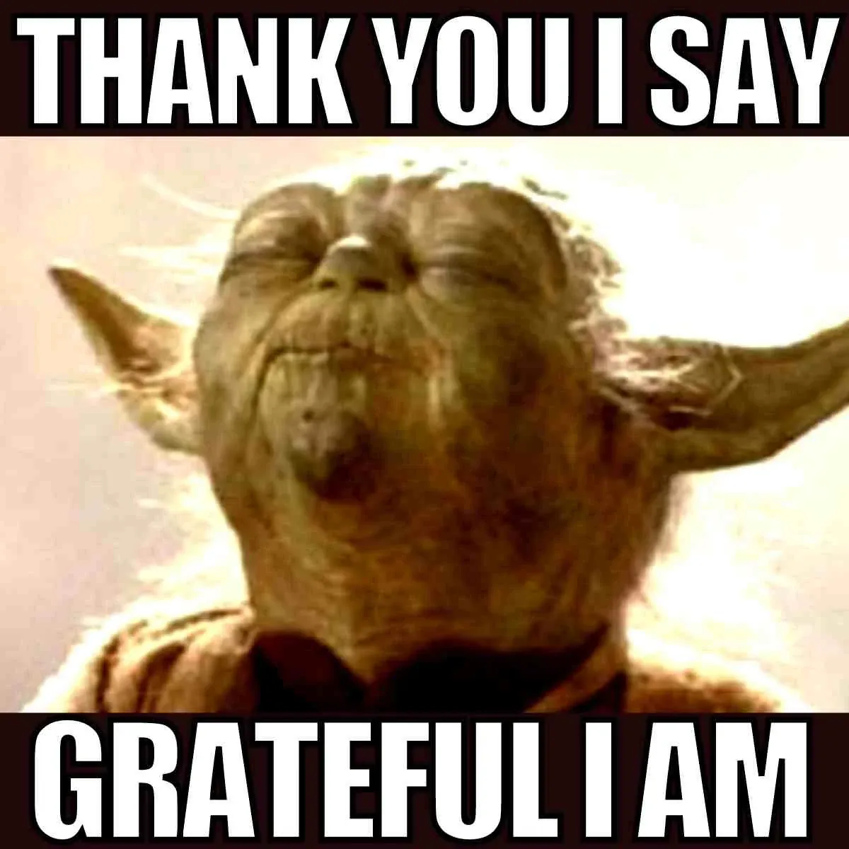99+ meme thank you hài hước nhất giúp lời cảm ơn thêm độc đáo · ảnh 3