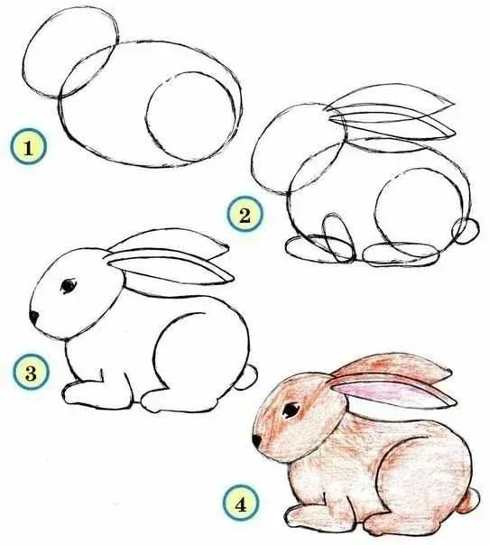 Hướng Dẫn Vẽ Chú Thỏ Đáng Yêu Đơn Giản Cho Người Mới Bắt Đầu · ảnh 2