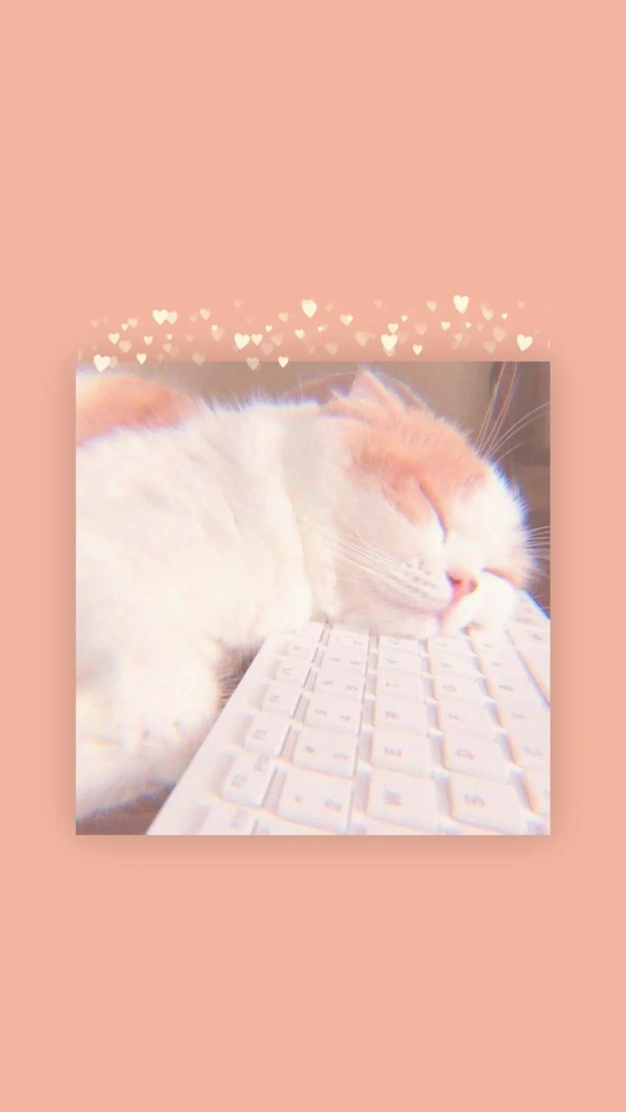 Tuyển tập 54 hình nền bàn phím đẹp cute đáng yêu · ảnh 3